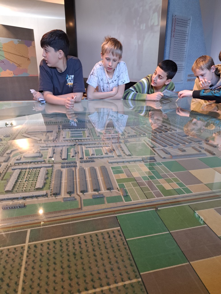 Cfcc46f2 9B9b 42E8 Bcd7 8C14f20057f5